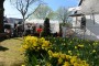 Thumbs/tn_Koningsdag 2015 144.jpg